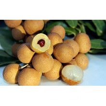 FRESH LONGAN FRUIT - DRIED LONGAN - TOP QUALITY - BEST PRICE